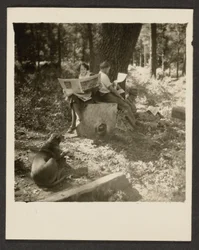 [Couple lisant un journal dans les bois]