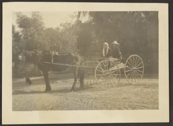[Couple dans une charrette à cheval]