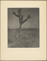 [Danseuse à Joshua Tree]