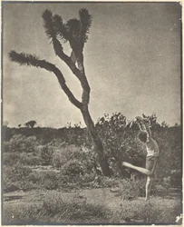 [Danseur à Joshua Tree]