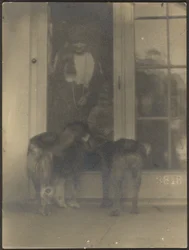 [Chiens à la porte]