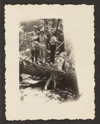 [Figures dans les bois]