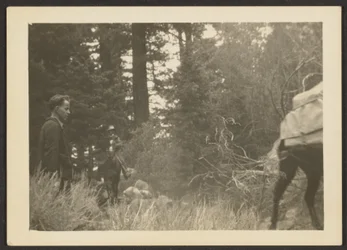[Figures dans un paysage boisé]