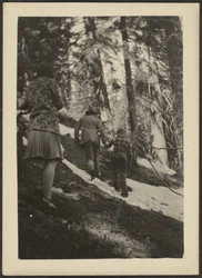 [Figures dans les bois]