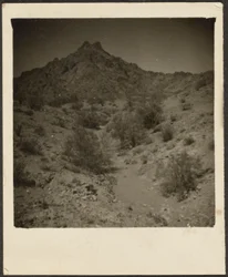 [Paysage]