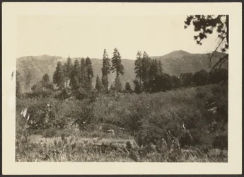 [Paysage]