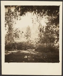[Paysage]