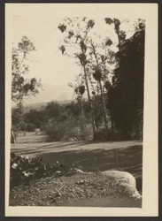 [Paysage]