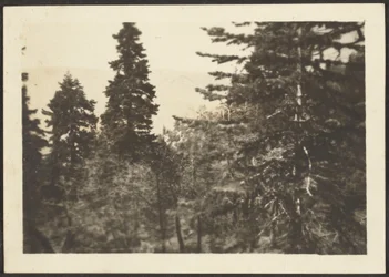 [Paysage]