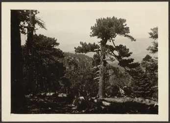 [Paysage]