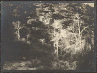 [Paysage]