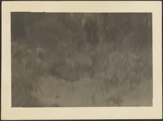 [Paysage]