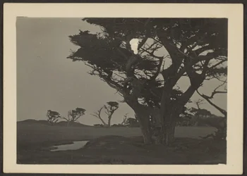 [Paysage]
