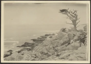 [Paysage]