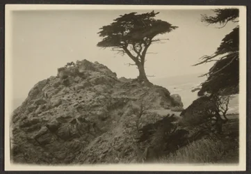 [Paysage avec cyprès solitaire]