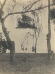 [Paysage avec arbres]