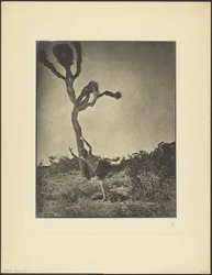 Joshua dansant, souple et gracieux