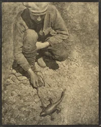 [Un homme avec un lézard]