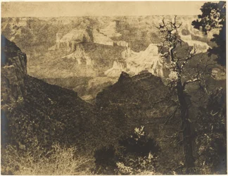 [Paysage montagneux avec arbre dénudé]