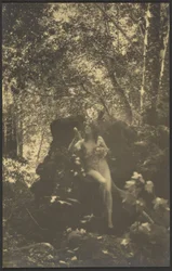[Femme nue dans les bois]