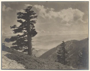 [Sur la crête vers Old Baldy]