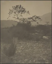 [Paysage rocheux]