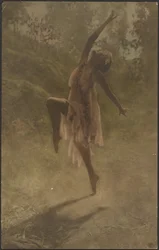 Danse des roses du Sud