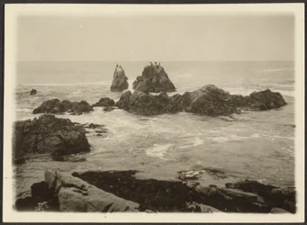 [Paysage marin]