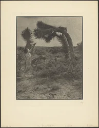 La bénédiction