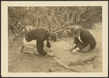 [Deux hommes et un cactus]