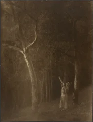 [Femme priant au milieu des arbres]