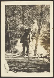 [Femme debout sur un arbre tombé]