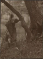 [Femme coiffée d