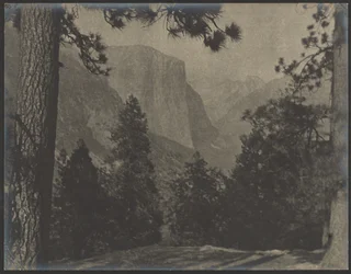 Yosemite, à travers les pins