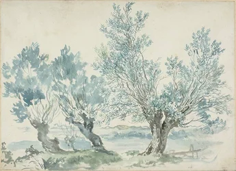 Trois saules