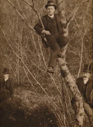 Homme assis dans un arbre