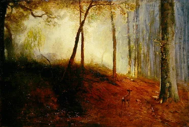 Cerfs dans un bois
