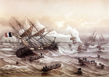 Chasse à la baleine à Terre-Neuve. Peinture de Lebreton. Début du 19ème siècle.