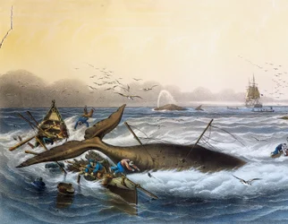 Chasse à la baleine dans les mers du Sud, lithographie en couleur par Louis Lebreton