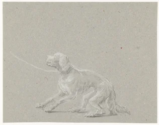 Chien en laisse