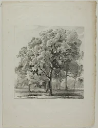 Étude d