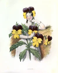 Allégories, la Pensée