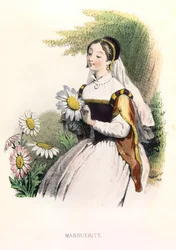 Allégorie , la marguerite