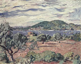 Baie d