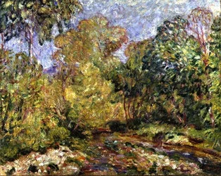 Paysage dans le Midi