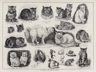 Exposition féline au Crystal Palace (gravure)