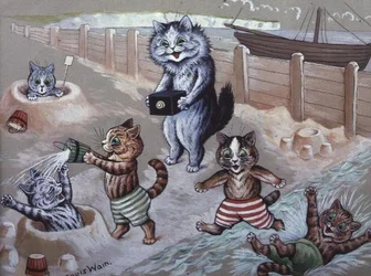 Chats se baignant dans la mer