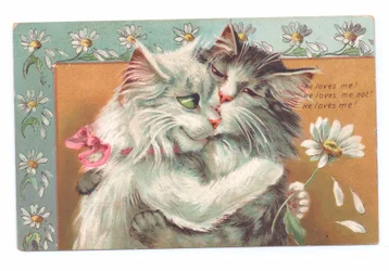 Carte postale édouardienne de deux chats s