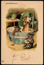 Le bain du matin. Animaux en posture humaine. Chats prenant leur bain dans une bassine. Carte postale. Chromolithographie de Louis Wain, début du 20e siècle