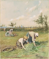 Glaneuses dans le champ